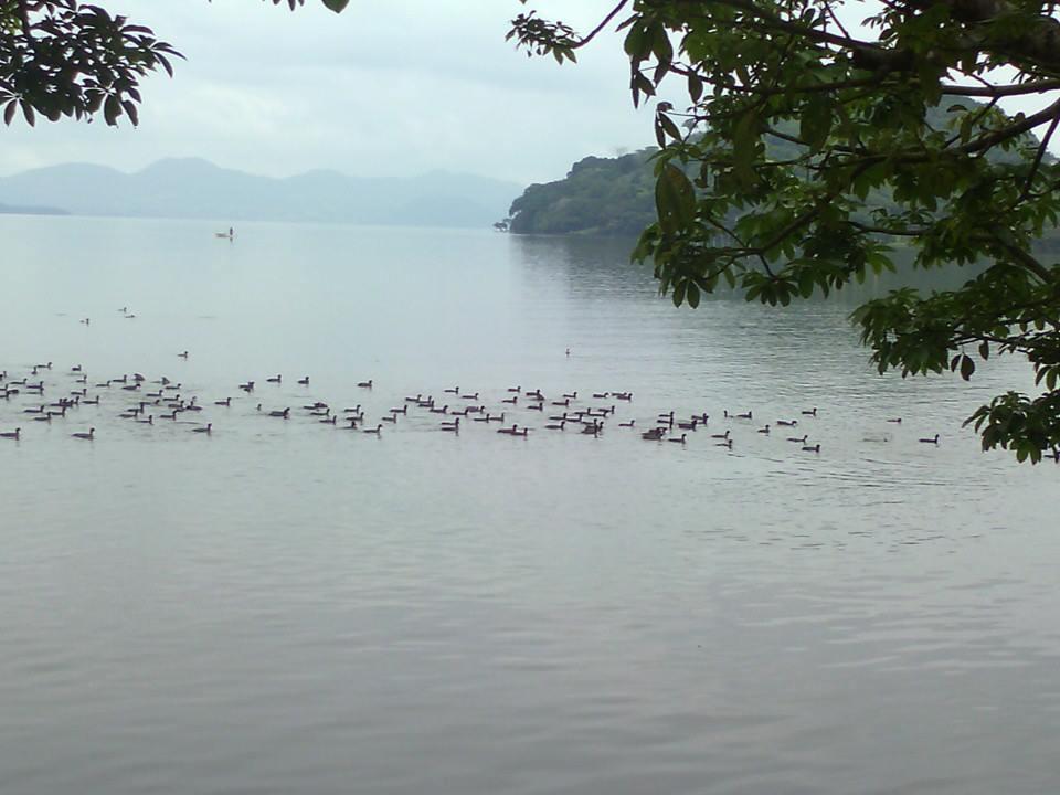 Hotel La Cabaña del Lago Catemaco Exterior foto